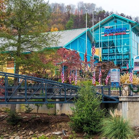 Bear View Chalet, 3 Bedroom, Pool, Pets, Arcades, Wifi, Hot Tub, Sleeps 12 Gatlinburg Exteriér fotografie
