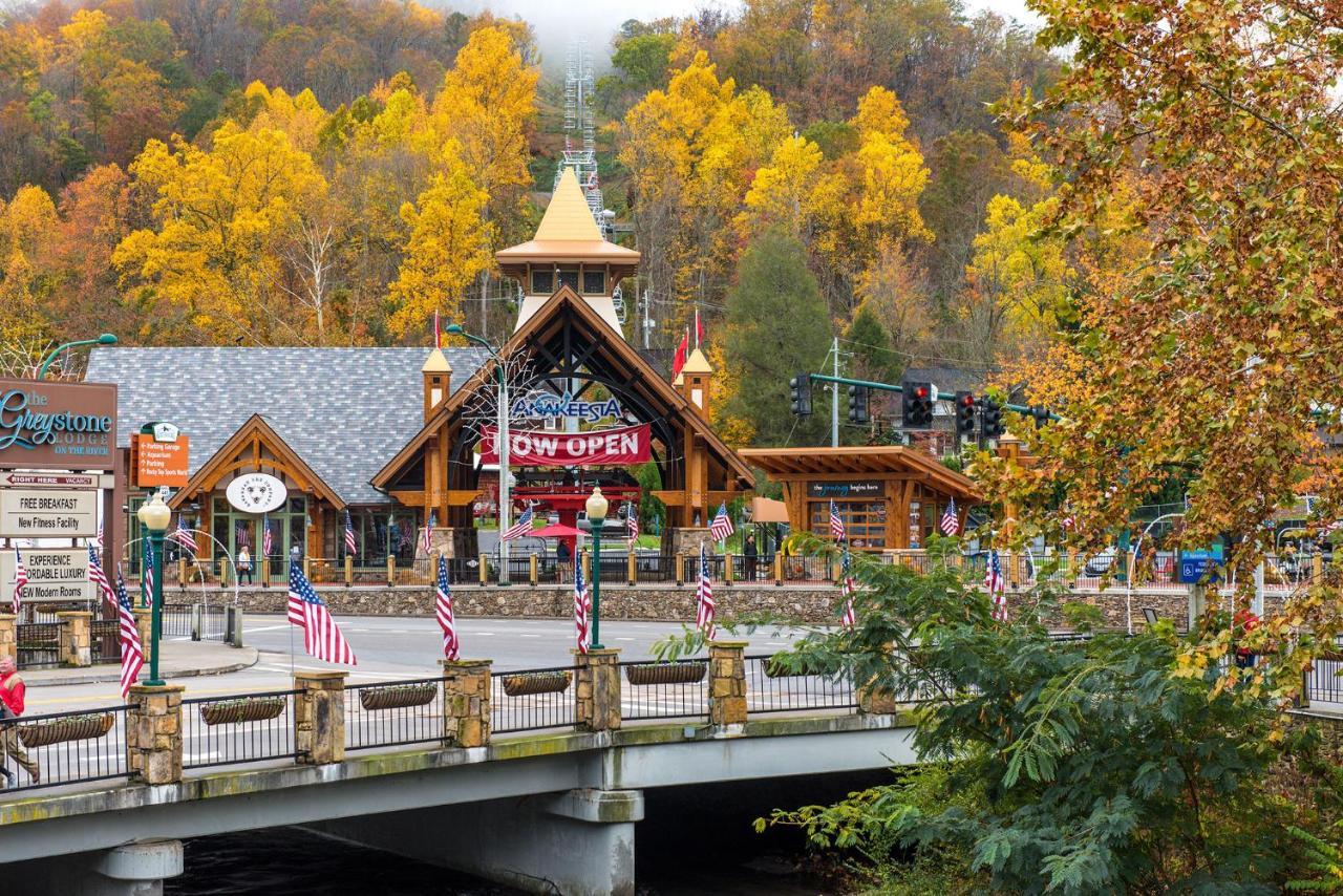 Bear View Chalet, 3 Bedroom, Pool, Pets, Arcades, Wifi, Hot Tub, Sleeps 12 Gatlinburg Exteriér fotografie