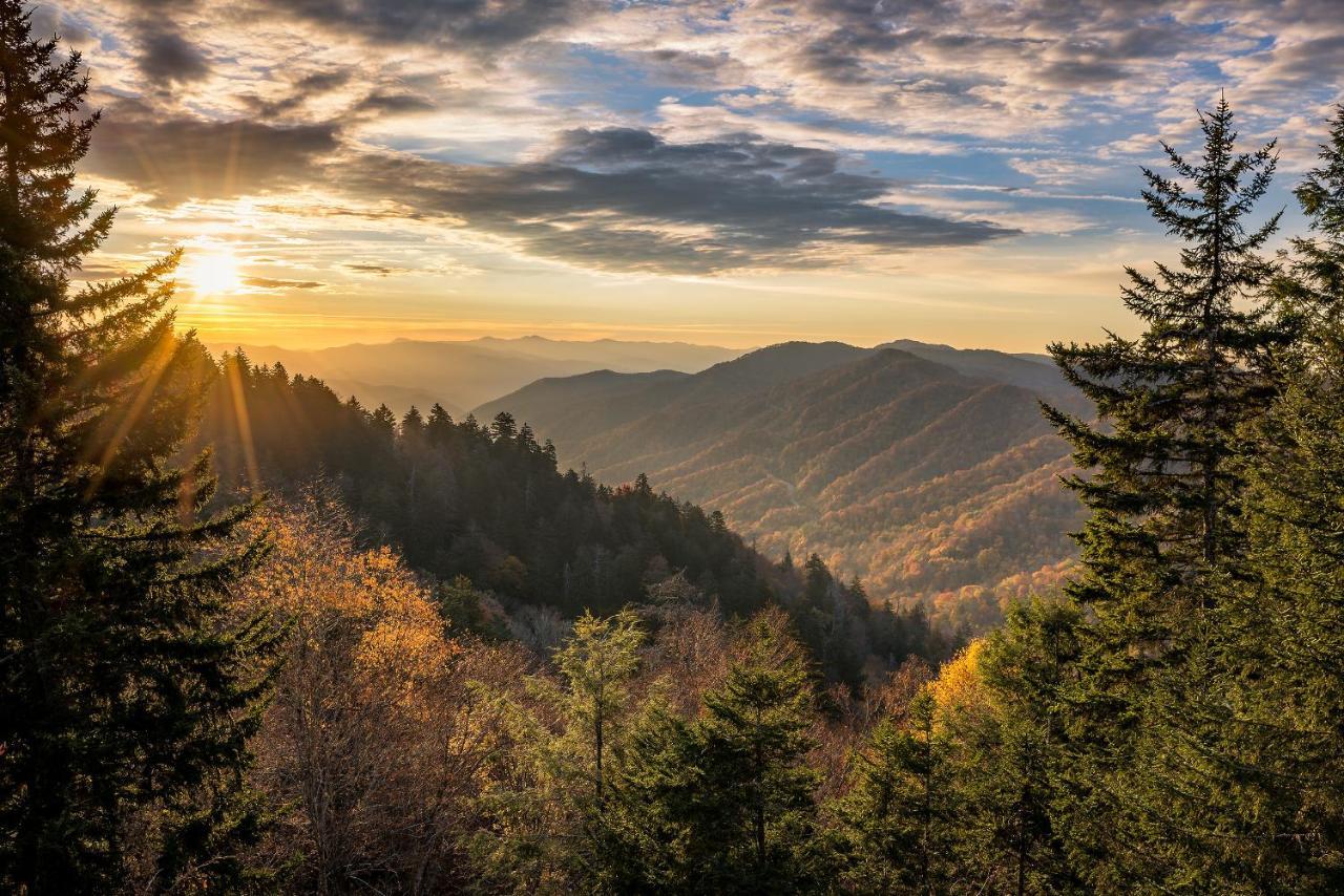 Bear View Chalet, 3 Bedroom, Pool, Pets, Arcades, Wifi, Hot Tub, Sleeps 12 Gatlinburg Exteriér fotografie
