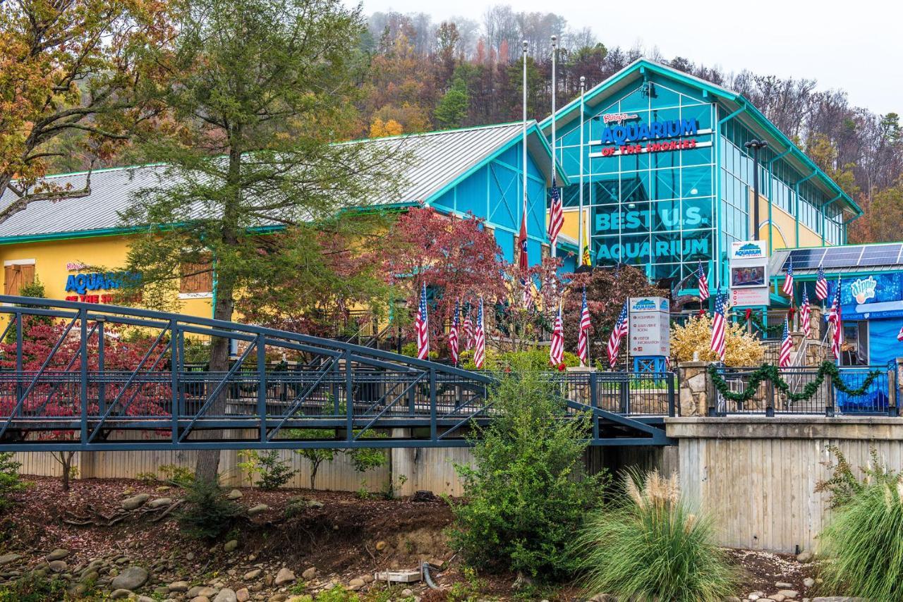 Bear View Chalet, 3 Bedroom, Pool, Pets, Arcades, Wifi, Hot Tub, Sleeps 12 Gatlinburg Exteriér fotografie