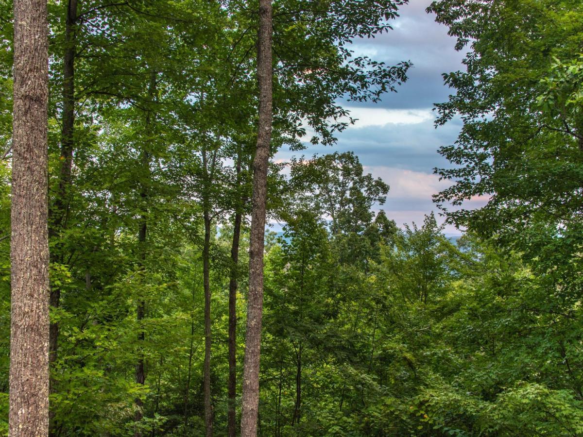 Bear View Chalet, 3 Bedroom, Pool, Pets, Arcades, Wifi, Hot Tub, Sleeps 12 Gatlinburg Exteriér fotografie