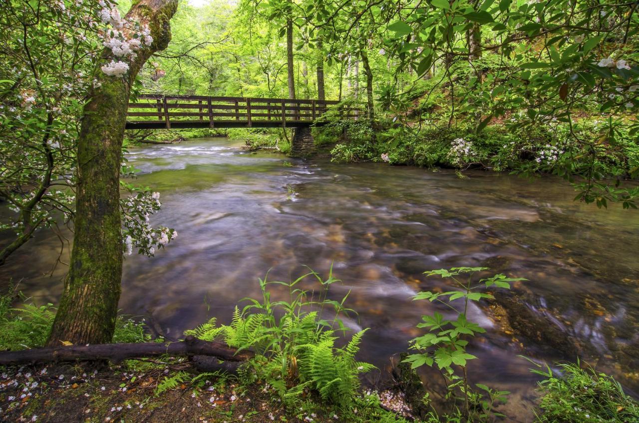 Bear View Chalet, 3 Bedroom, Pool, Pets, Arcades, Wifi, Hot Tub, Sleeps 12 Gatlinburg Exteriér fotografie