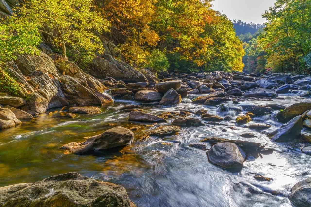 Bear View Chalet, 3 Bedroom, Pool, Pets, Arcades, Wifi, Hot Tub, Sleeps 12 Gatlinburg Exteriér fotografie